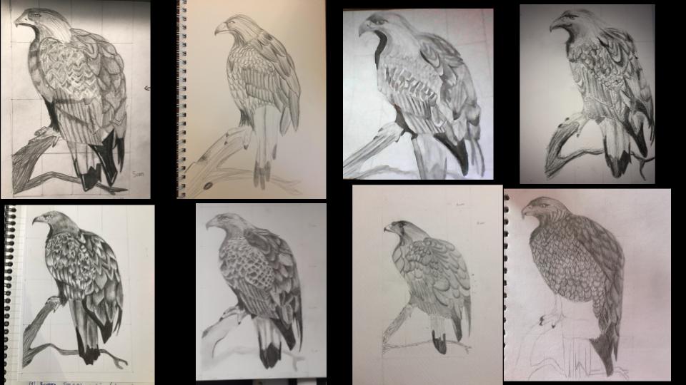 Yr9 bird grid